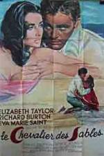 Watch The Sandpiper 9Movies