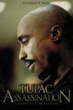 Watch Assassination: Conspiracy or Revenge 9Movies
