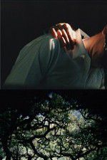 Watch The Hedge Theater 9Movies