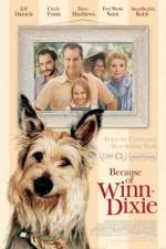Watch Because of Winn-Dixie 9Movies