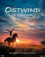 Watch Windstorm: The Great Hurricane 9Movies
