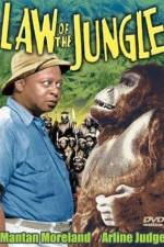 Watch Law of the Jungle 9Movies