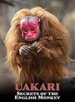 Watch Uakari: Secrets of the English Monkey 9Movies