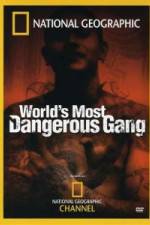 Watch National Geographic World's Most Dangerous Gang 9Movies