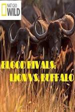 Watch National Geographic - Blood Rivals: Lion vs. Buffalo 9Movies