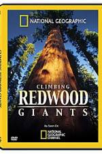 Watch National Geographic Explorer: Climbing Redwood Giants 9Movies