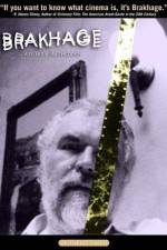Watch Brakhage 9Movies