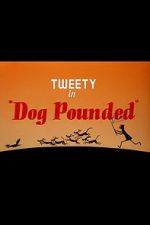 Watch Dog Pounded (Short 1954) 9Movies