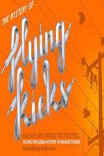 Watch The Mystery of Flying Kicks 9Movies