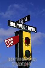 Watch Hollywood and Vine 9Movies