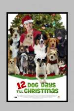 Watch 12 Dog Days of Christmas 9Movies