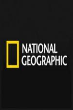 Watch National Geographic Wild Predator CSI Zombie Sealions 9Movies