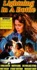 Watch Lightning in a Bottle 9Movies
