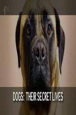 Watch Dogs: Their Secret Lives 9Movies