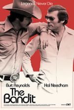Watch The Bandit 9Movies