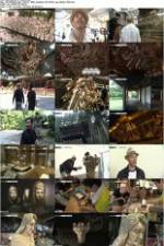 Watch Amazing Arts of Japan 9Movies