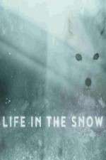 Watch Life in the Snow 9Movies