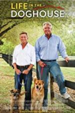 Watch Life in the Doghouse 9Movies