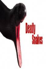 Watch National Geographic Wild Deadly Snakes 9Movies
