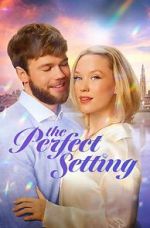 Watch The Perfect Setting 9Movies