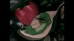 Watch The Wacky Worm (Short 1941) 9Movies
