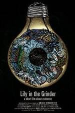 Watch Lily in the Grinder 9Movies