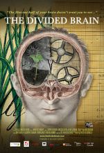 Watch The Divided Brain 9Movies
