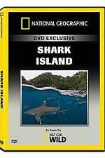 Watch National Geographic: Shark Island 9Movies