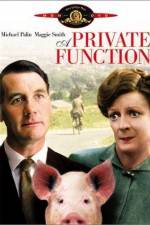 Watch Svinaktiga affärer 9Movies