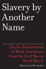 Watch Slavery by Another Name 9Movies