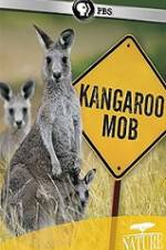 Watch Kangaroo Mob 9Movies