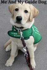 Watch Me And My Guide Dog 9Movies