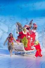 Watch Dr. Seuss\' the Grinch Musical 9Movies