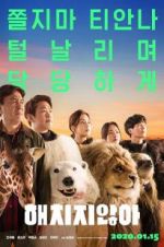Watch Secret Zoo 9Movies