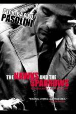 Watch The Hawks and the Sparrows 9Movies