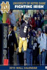 Watch The Fighting Irish 9Movies