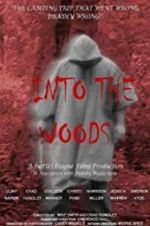 Watch Into the Woods 9Movies