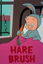 Watch Hare Brush (Short 1955) 9Movies