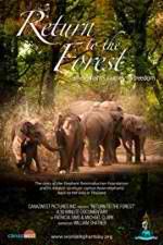 Watch Return to the Forest 9Movies