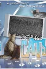 Watch Shorts for Cats 9Movies