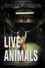 Watch Live Animals 9Movies