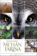 Watch Tale of a Forest 9Movies