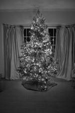 Watch The Christmas Miracle 9Movies