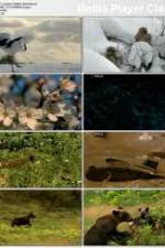 Watch National Geographic: Japans Hidden Secrets 9Movies
