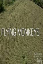 Watch Winged Terror 9Movies