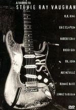Watch A Tribute to Stevie Ray Vaughan 9Movies