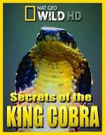 Watch Secrets of the King Cobra 9Movies