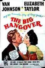 Watch The Big Hangover 9Movies