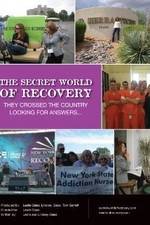 Watch The Secret World of Recovery 9Movies