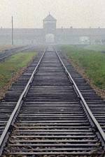 Watch AUSCHWITZ: FACTORIES OF DEATH 9Movies